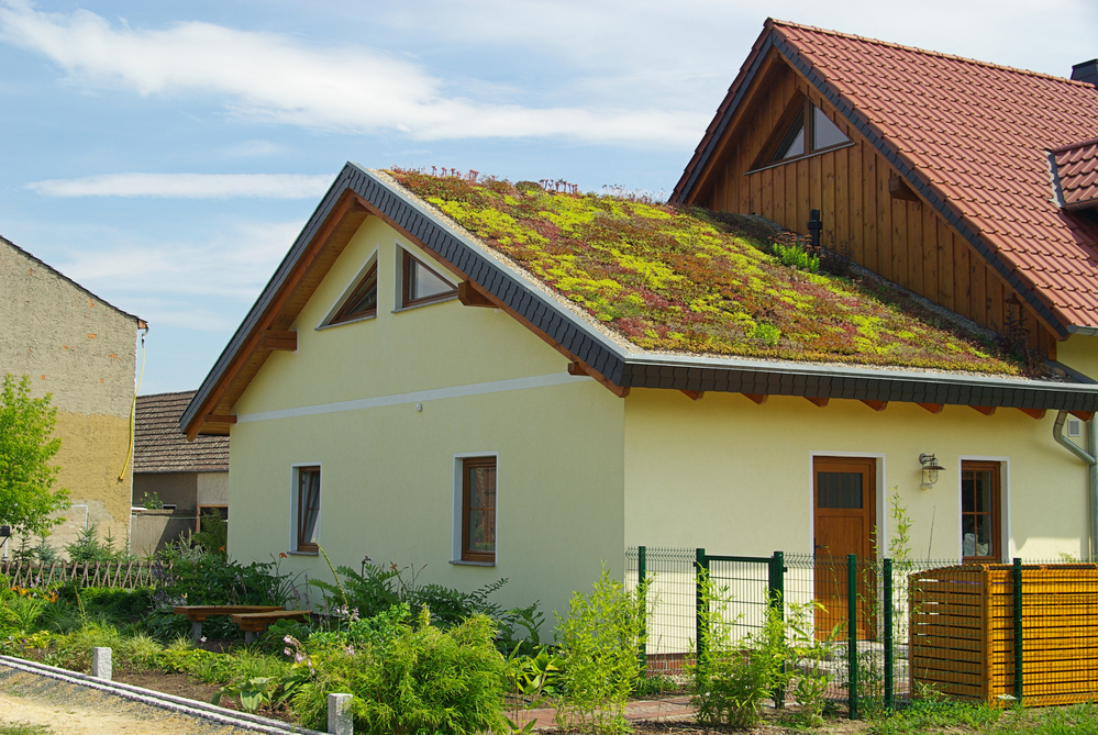 Extenzívna zelená strecha | Gamat