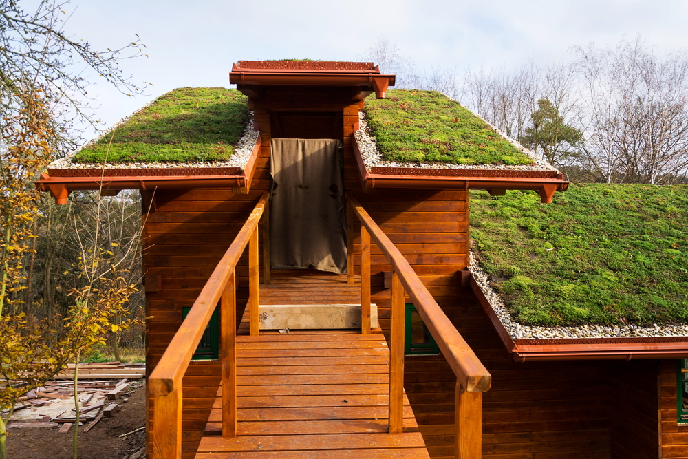 Rastliny extenzívna strecha | Gamat